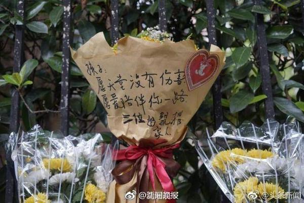 龙虎棋牌豪华版
